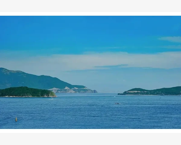 中医学的智慧：从止咳润肺到化痰的奇妙关系