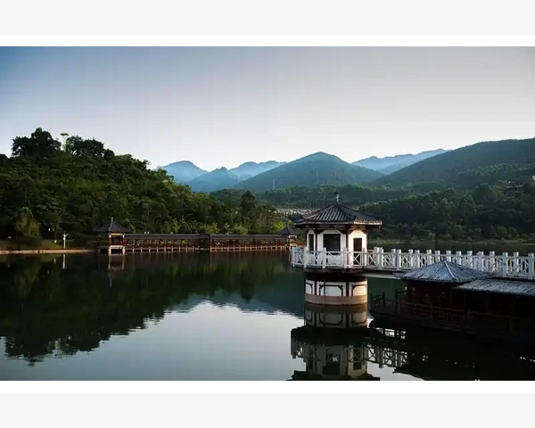 中医学的视角：失眠如何调理